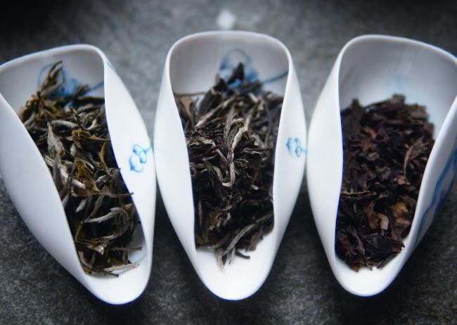 白毫银针老白茶